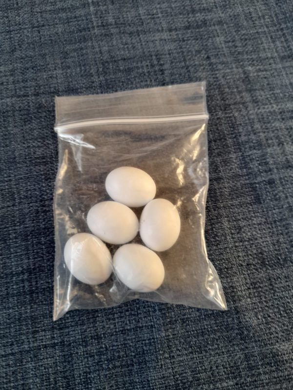 Budgie Dummy Eggs Superior Birdroom Products